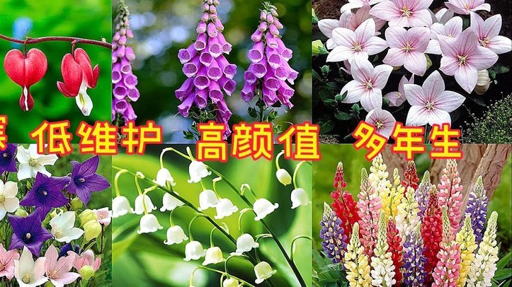 “提前结清‘拿去花’：操作步骤与注意事项”