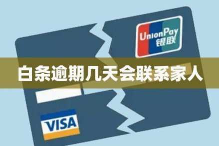 白条平台有哪些选择