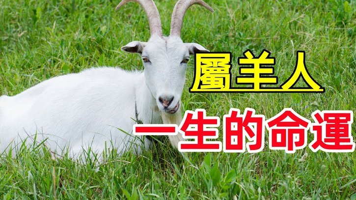 羊小咩便荔卡额度怎么套出来