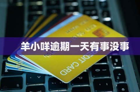 羊小咩借款额度如何查看