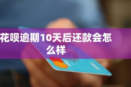 花呗天猫秒套 怎么还款不了