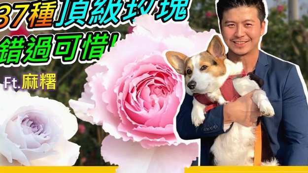 花呗套现：别上当！