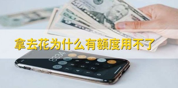 拿去花能套现吗