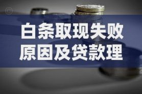 白条取现：秒到，金融创新