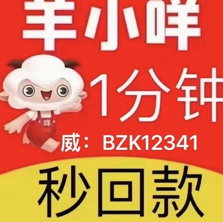 羊小咩的消费额度：限制与引导