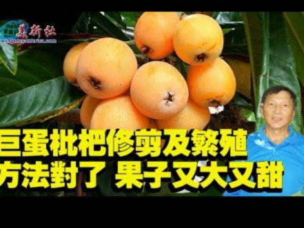便荔卡额度优化全攻略