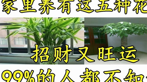 赚取高额利息？警惕“拿去花套现”背后的财务陷阱