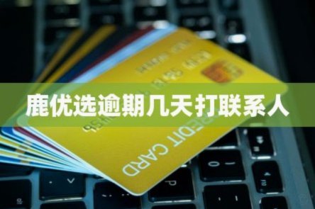 鹿优选商家秒到怎么申请