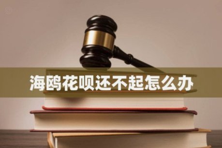 海鸥花呗平台即将发布？