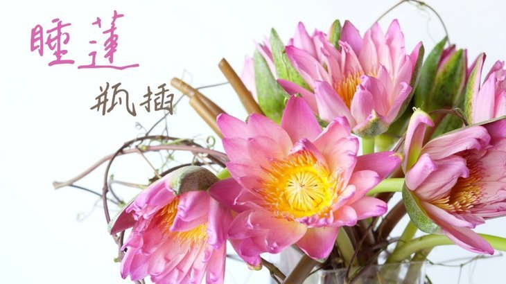 花呗这个平台合法吗是真的吗
