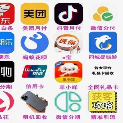 分期乐购物额度秒到的套出来方法