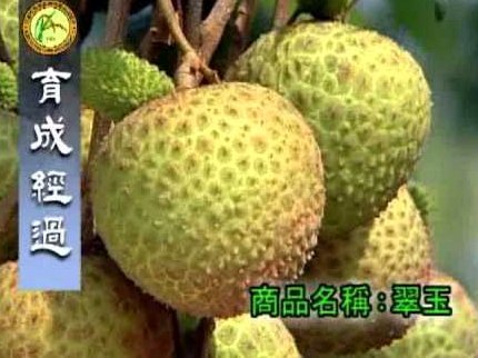 便荔卡套现：监管下求新路
