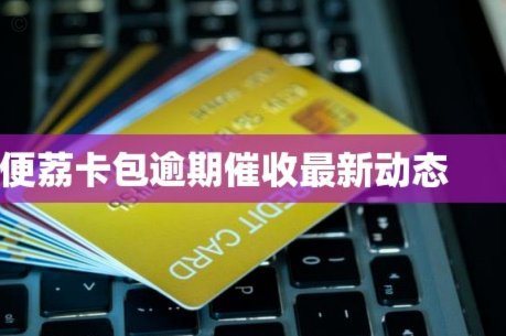 便荔卡包使用指南
