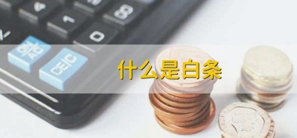 白条取现秒回