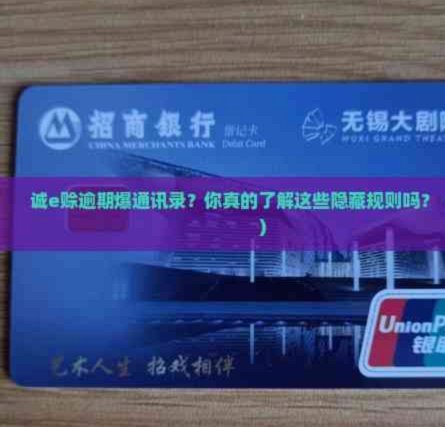 诚e赊可以套出来吗