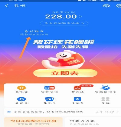 花呗是大平台，是不是安全？