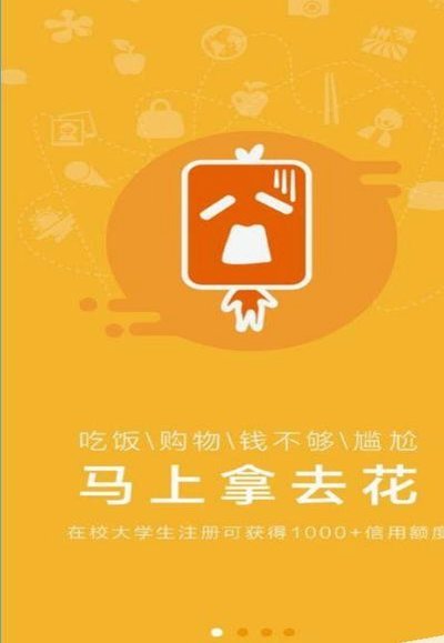 去哪儿拿去花是什么