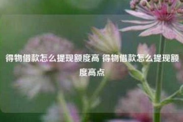 得物借款能提现吗？