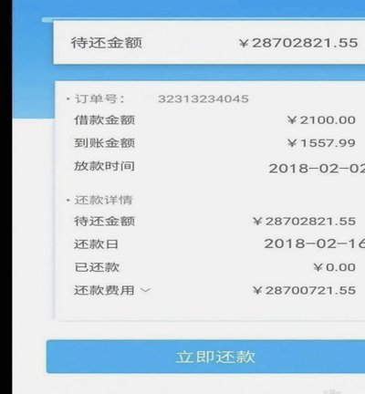 14天短期借款1000元