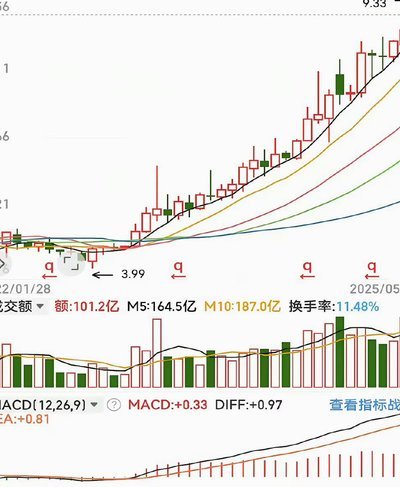 现金奶牛股票：稳定收益的行业龙头