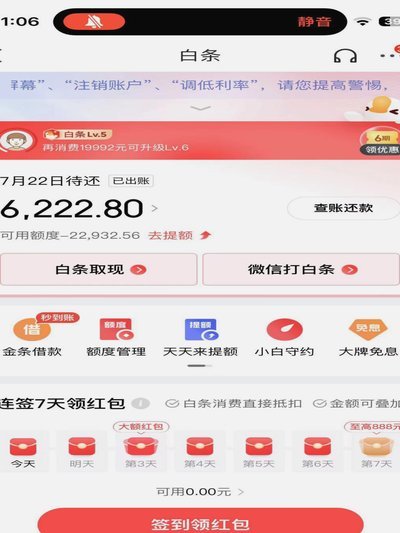 白条临时额度能提现吗？深度解析其功能与风险边界