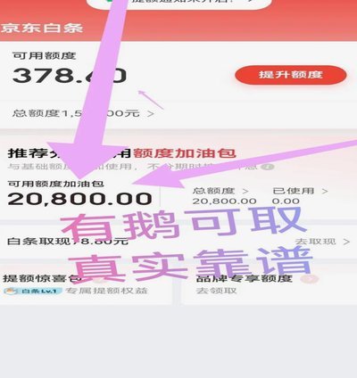 白条取出额度，平台真的能追踪吗？
