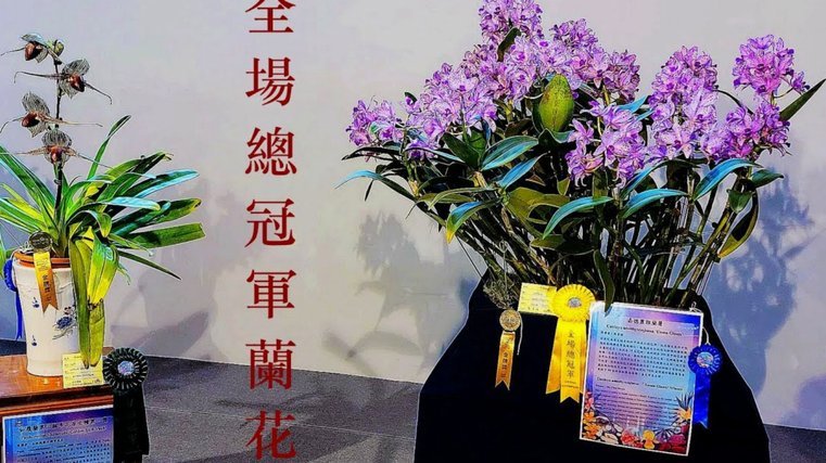 花呗取现陷阱：背后的金融风险与真相剖析