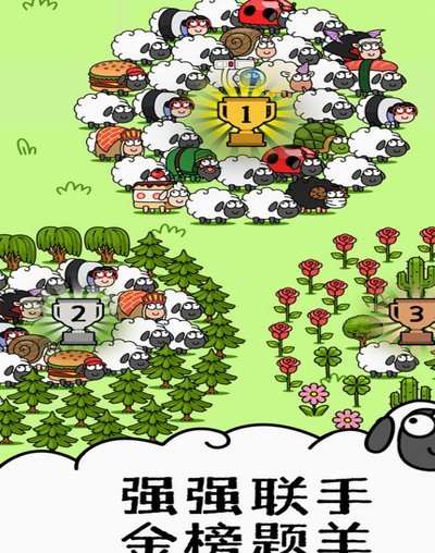 羊小咩商家回收多少点