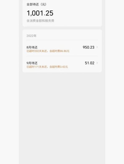 美团月付回收平台电话服务解析