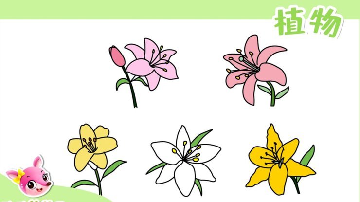 花呗如何提现指南