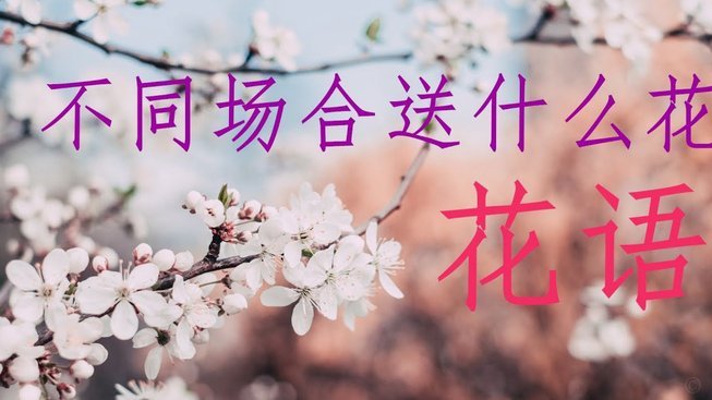 如何利用自身创造更多可能