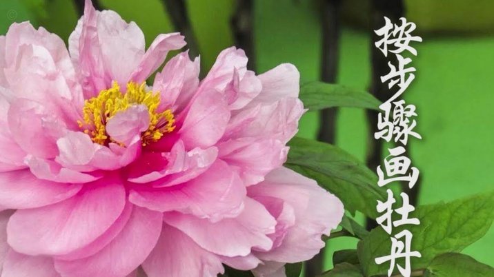 套现花呗有影响吗