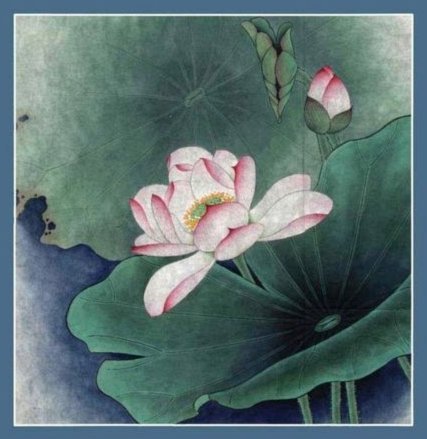 海鸥花呗：安全可靠吗？