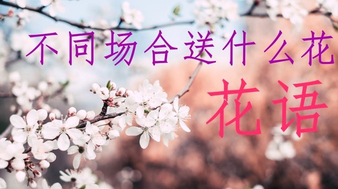 花呗怎么能提现到银行卡