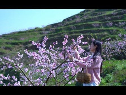 花呗的出现意味着什么