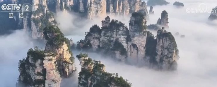 是正规的吗