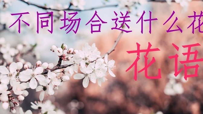 去哪拿去花怎么用