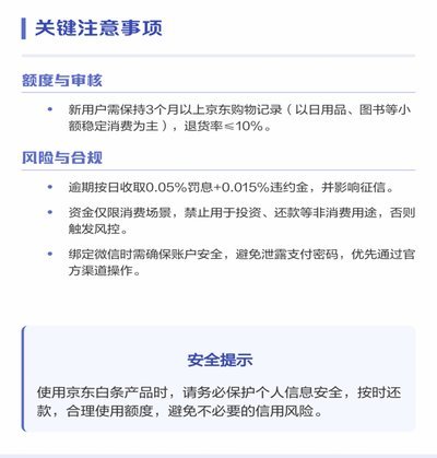 白条借款付款流程