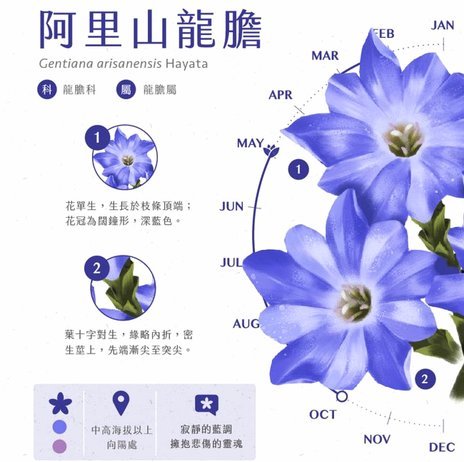 花呗分期套现合作