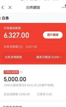 白条加油包有额度但是不能用