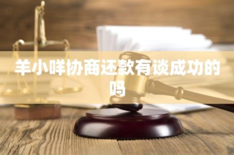 羊小咩还款失败怎么办