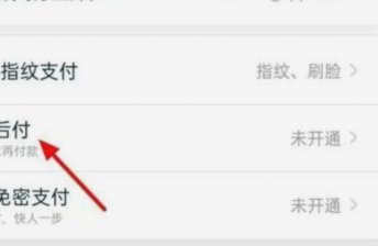 得物先用后付额度怎么看