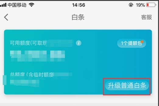 白条付费额度怎么套出来的
