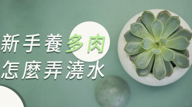 拿去花提现：隐藏的风险与陷阱
