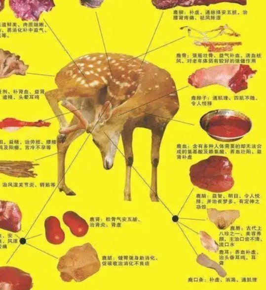 鹿产品真的好吗？