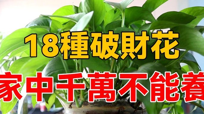 商家花呗提现手续费详解