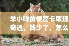 羊小咩便荔卡创新取现机制解析